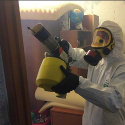 Уничтожение клопов в квартире. Советский